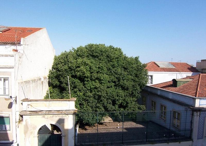 Bela Vista - Lissabon Altstadt Lisboa Exterior foto